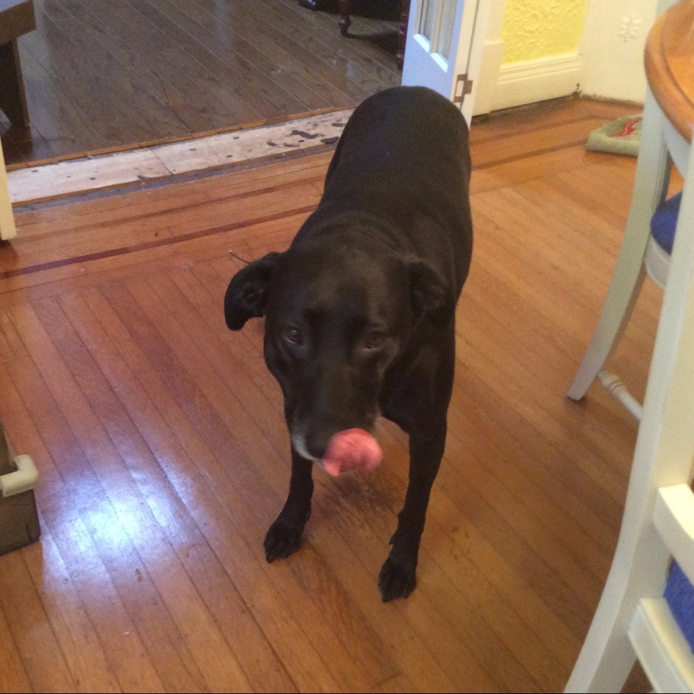 Meet your Posher, Loretta